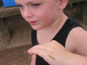 IMG_0685.JPG